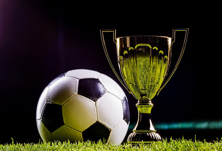 参与人数已 参与人数已