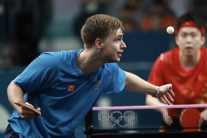 比例都高于 比例都高于