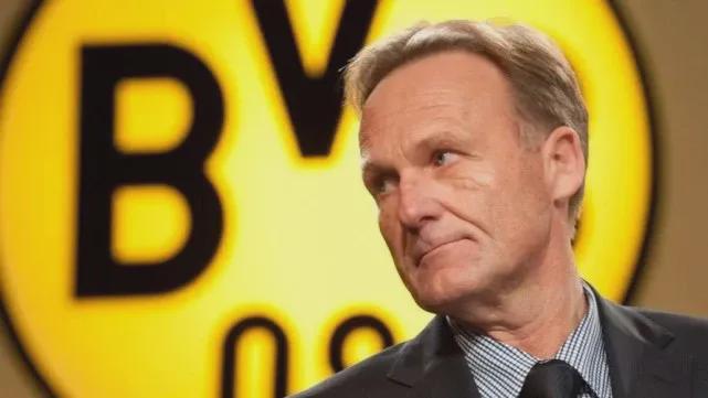 会员专属口 会员专属口